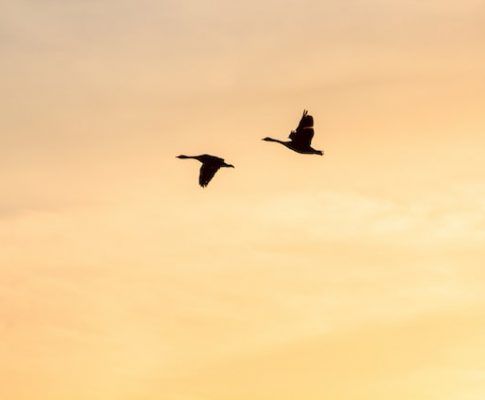 Motivos a tener en cuenta antes de vivir en el extranjero