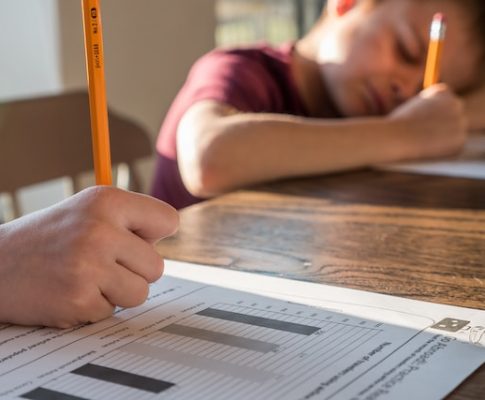 Cómo elegir los cuadernos de verano adecuados para tu hijo